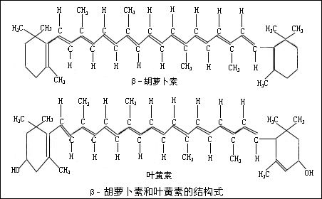 科米代谢 类胡萝卜素检测